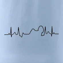 Shih-tzu ekg obrys Shih-tzu ekg obrys