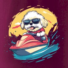 Lhasa Apso na vodnom skútri