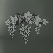 Hrozno šedé Hrozno šedé