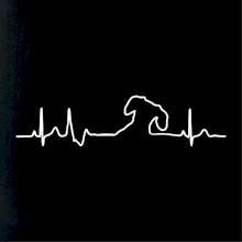 Jazvečík EKG Jazvečík EKG