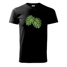 Monstera - dva listy