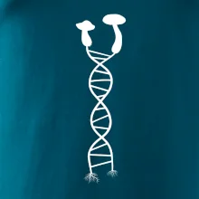 DNA huby DNA huby