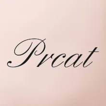 Prcat (súložiť vulgárne) Prcat (súložiť vulgárne)