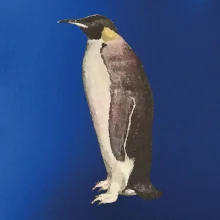 Tučniak kreslený vodovými farbami