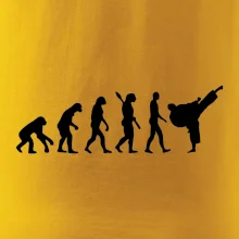 Karate Evolúcia - kop