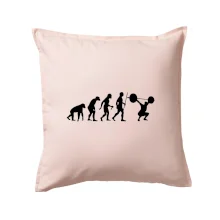 Evolution fitness Evolution fitness