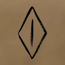 Dámske prirodzenie hladko oholené