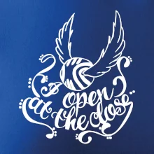 Harry - Zlatá strela