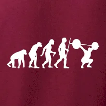 Evolution fitness