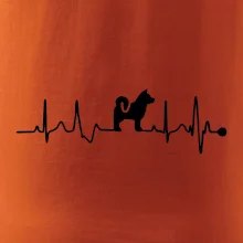 Shiba-Inu EKG Shiba-Inu EKG