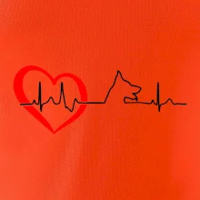 Nemecký ovčiak ekg