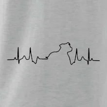 Stafordšírsky bulteriér ‎ EKG