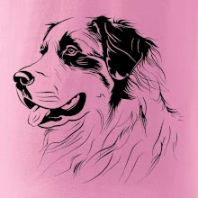 Bernský salašnícky pes čierna kresba