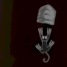 Mačka vypadla z vrecka