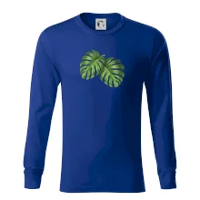 Monstera - dva listy