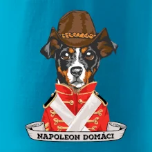 Napoleon domáci kríženec