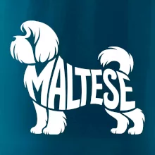 Maltézsky psík nápis v tele