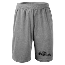 Formula v závode Formula v závode