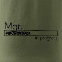 In progress titul Mgr. magister / magistra