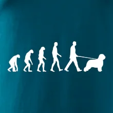 Evolúcia pes Briard