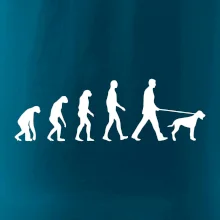 Evolúcia pes stavač Evolúcia pes stavač