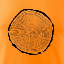 Letokruhy 45 bez veku