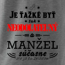 Neodolateľný manžel Neodolateľný manžel