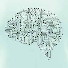 Tlačený spoj mozog