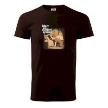 Idem za svojimi snami