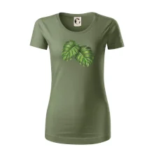 Monstera - dva listy