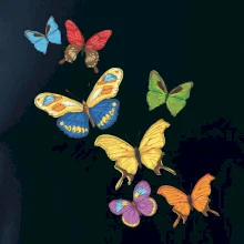 Farebné motýle Farebné motýle