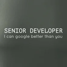 Senior developer google better than you