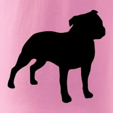 Americký stafordšírsky teriér Na prsníku