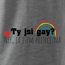Gay princezna Gay princezna