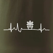 EKG fíkus EKG fíkus