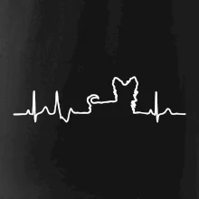 Yorkshirský teriér EKG Yorkshirský teriér EKG