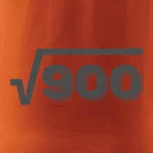 Narodeniny odmocniny 30