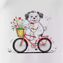 Havanský psík na bicykli