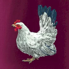 Sliepka kreslená biela