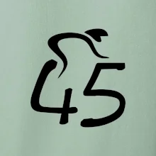 Cyklista oslavuje štyridsaťpäťku (45)