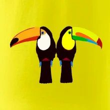 Dva barevní tukani (Moňas) Dva barevní tukani (Moňas)