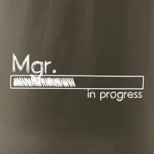 In progress titul Mgr. magister / magistra