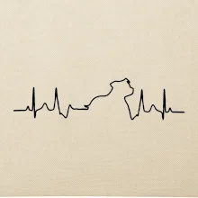 Stafordšírsky bulteriér ‎ EKG