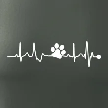 Ekg psia labka Ekg psia labka