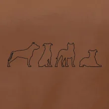 Americký stafordšírsky teriér v rôznych pozíciách