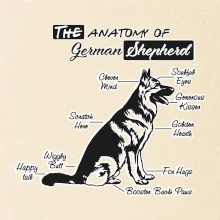 Nemecký ovčiak - Anatómia