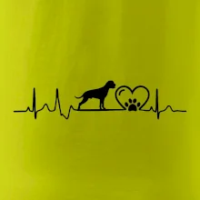 Nemecký boxer EKG Nemecký boxer EKG