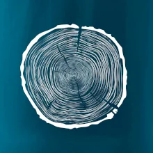 Letokruhy 80 bez veku