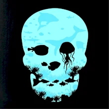 Dead Sea skull Dead Sea skull