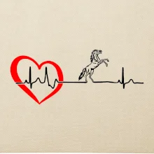 Moje srdce bije pre kone